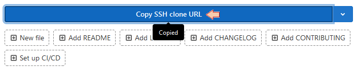 GitLab SSH clone URL copied